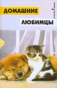 Домашние любимцы Домашние любимцы