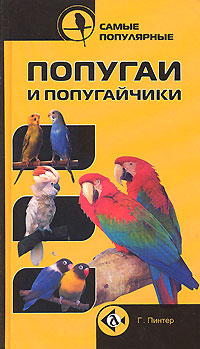 Самые популярные попугаи и попугайчики