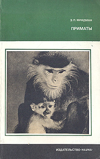 Приматы