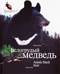 Белогрудый медведь / Asiatic Black Bear