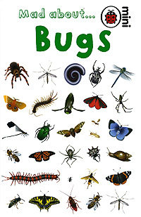 Mad about... Bugs