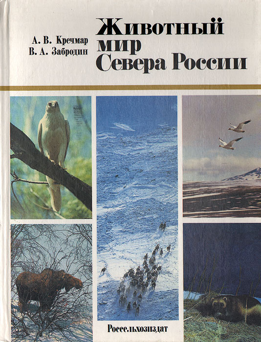 Животный мир Севера России
