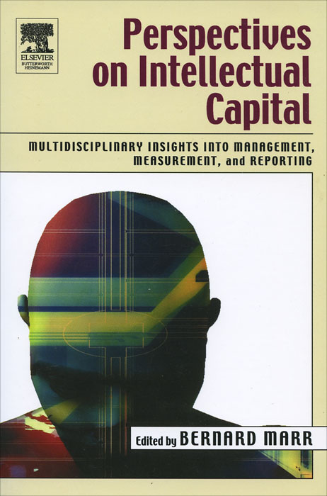 Perspectives on Intellectual Capital: Multidisciplinary Insights Into Management, Measurement, and Reporting
