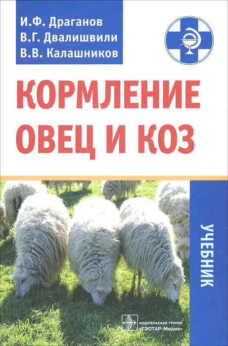 Кормление овец и коз