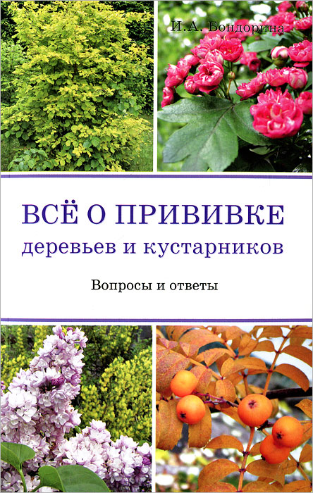 Все о прививке деревьев и кустарников Все о прививке деревьев и кустарников