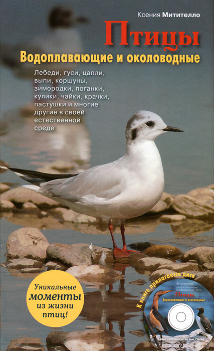 Птицы. Водоплавающие и околоводные (+ CD)