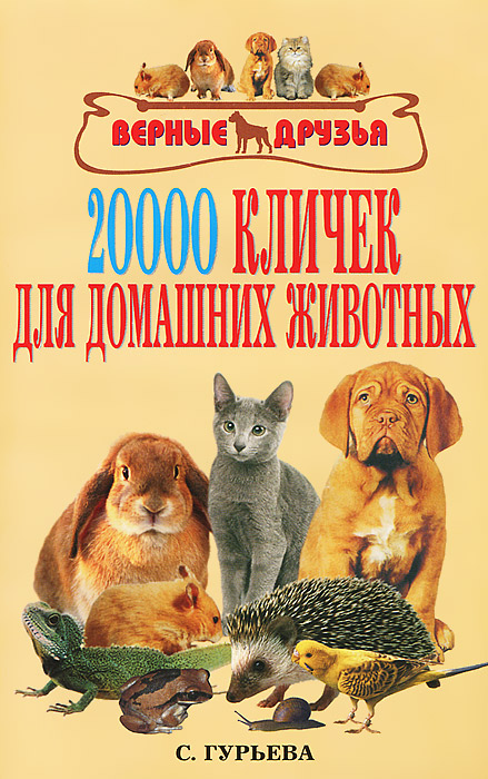 20000 кличек для домашних животных