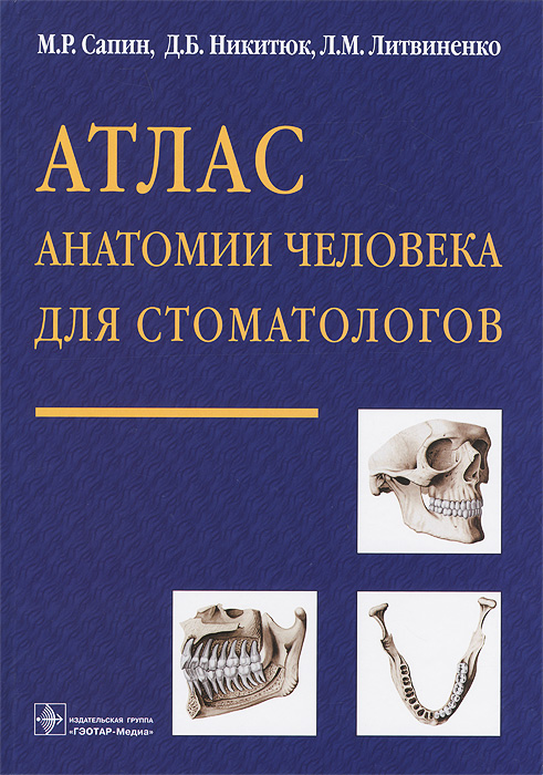 Атлас анатомии человека для стоматологов