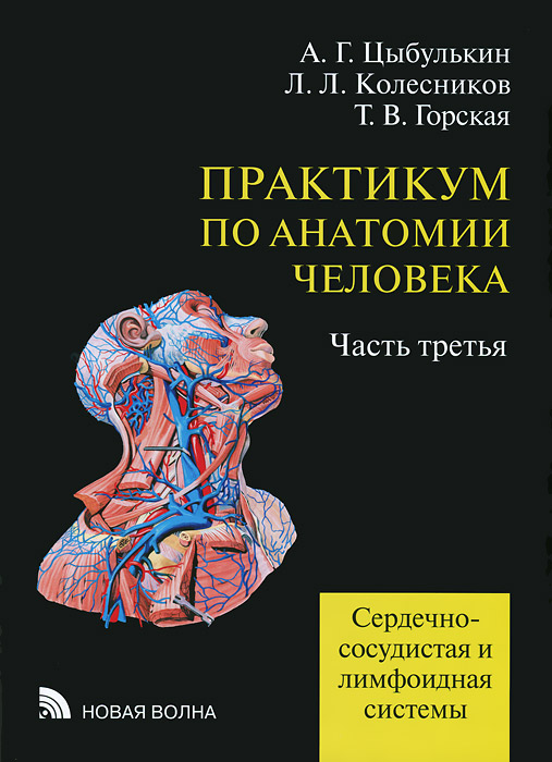 Практикум по анатомии человека. В 4 частях. Часть 3. Сердечно-сосудистая и лимфоидная системы
