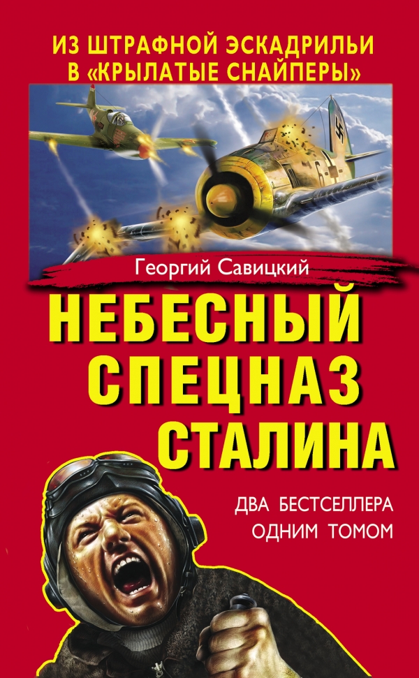 Небесный спецназ Сталина. Из штрафной эскадрильи в «крылатые снайперы»