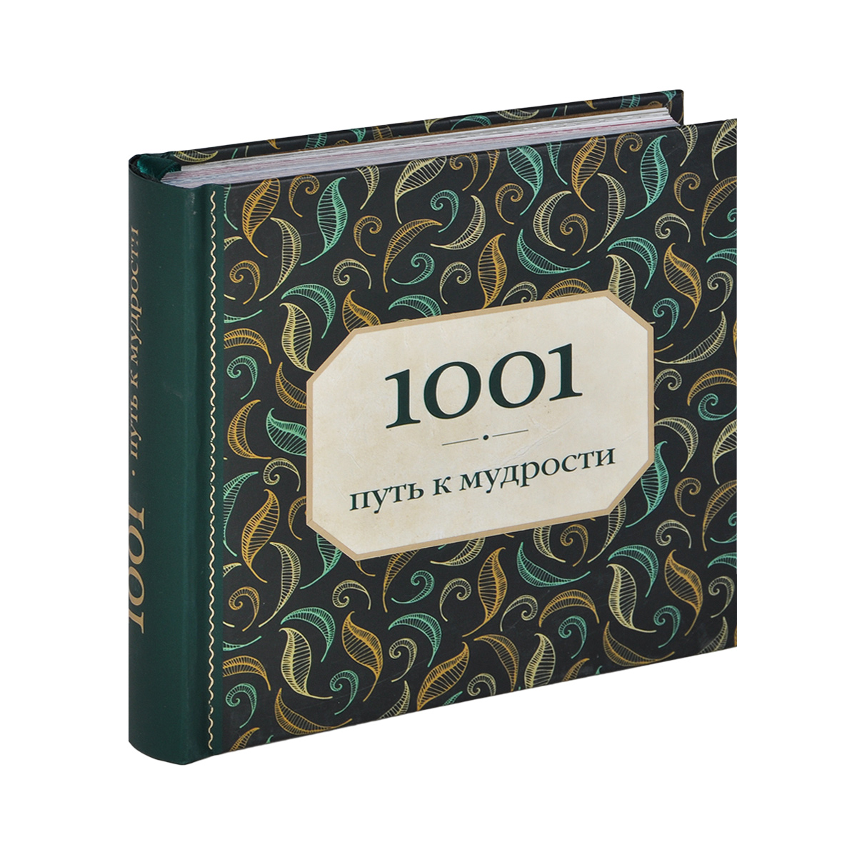 1001 путь к мудрости