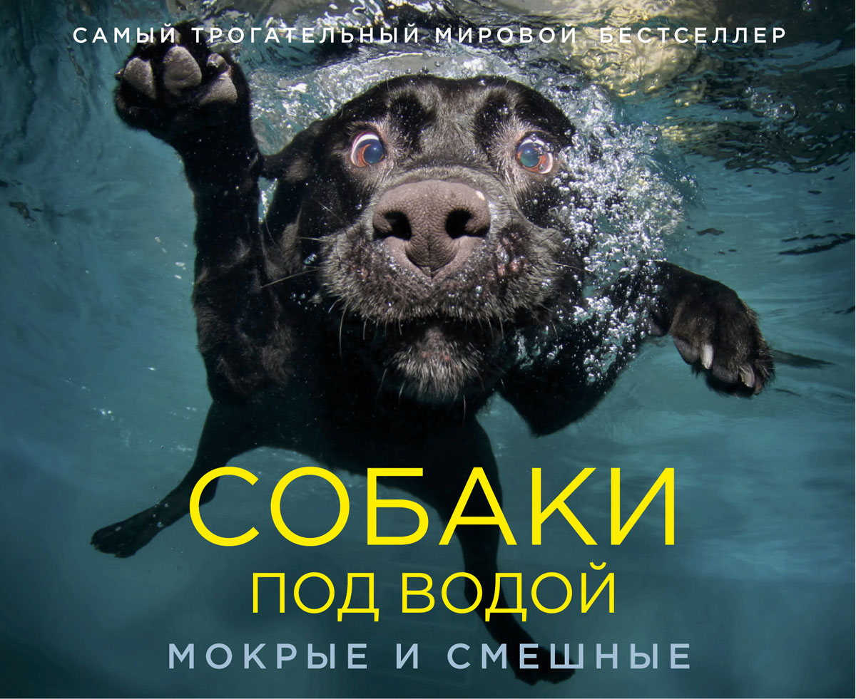 Собаки под водой. Мокрые и смешные