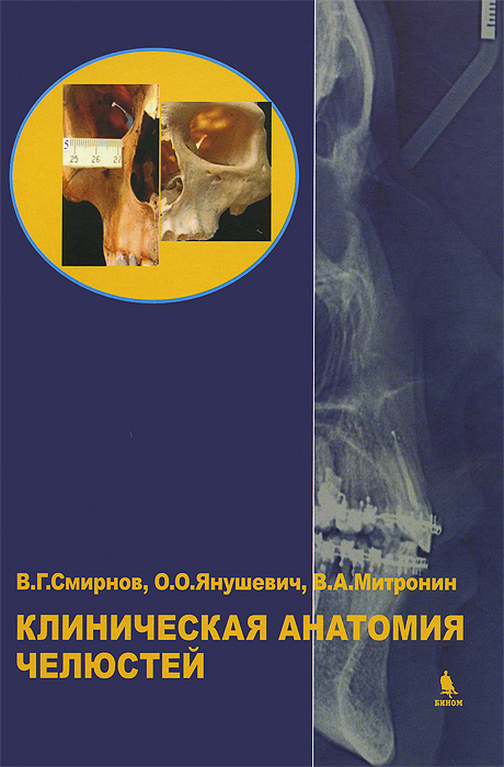 Клиническая анатомия челюстей