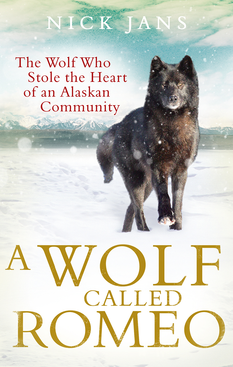 A Wolf Called Romeo