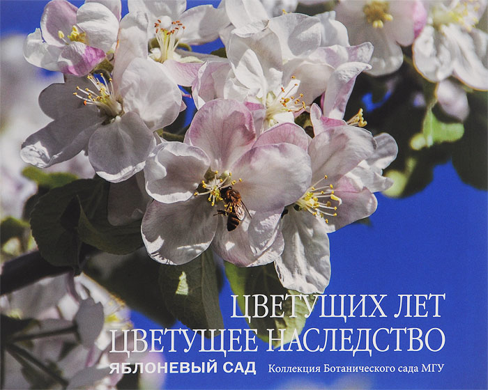 Цветущих лет цветущее наследство. Яблоневый сад. Коллекция Ботанического сада МГУ