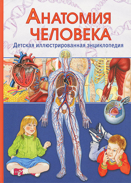 Анатомия человека. Детская иллюстрированная энциклопедия. В. Гуиди Анатомия человека. Детская иллюстрированная энциклопедия. В. Гуиди