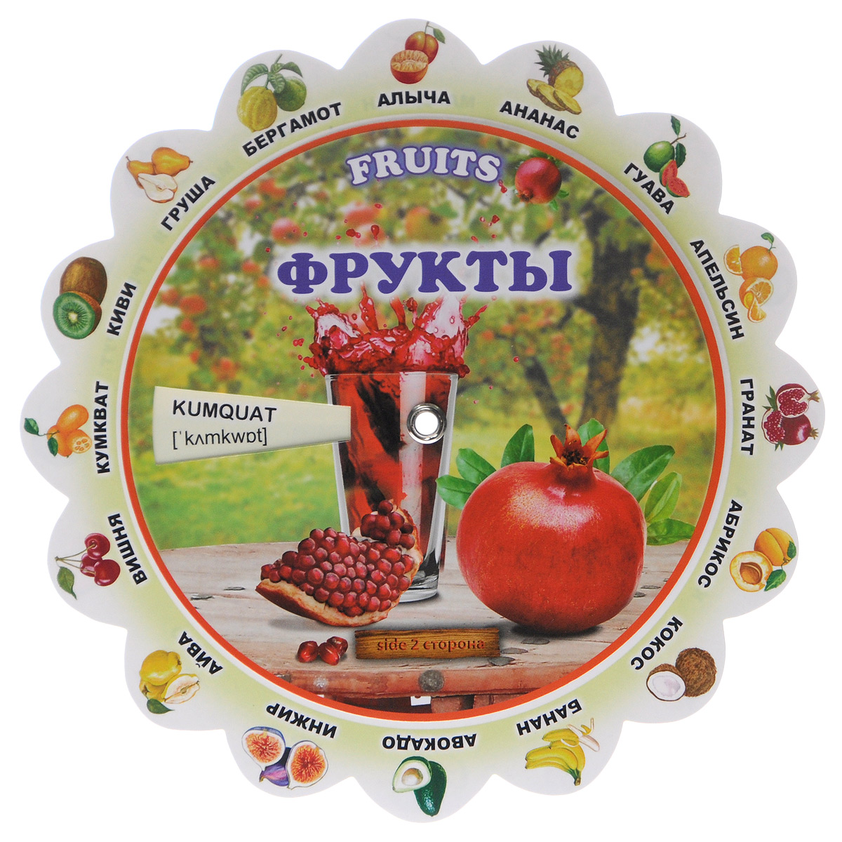 Fruits /Фрукты. Иллюстрированный тематический словарь