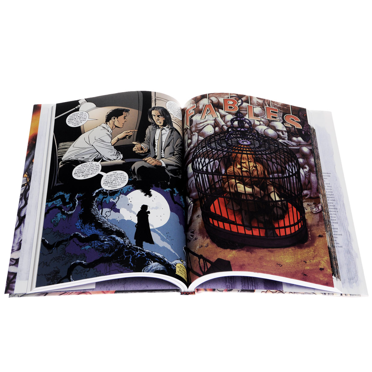 Fables: The Deluxe Edition: Book Five