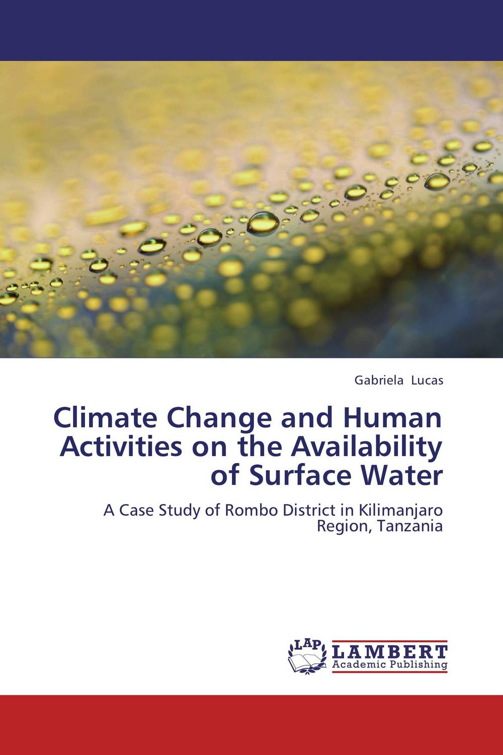 Climate Change and Human Activities on the Availability of Surface Water