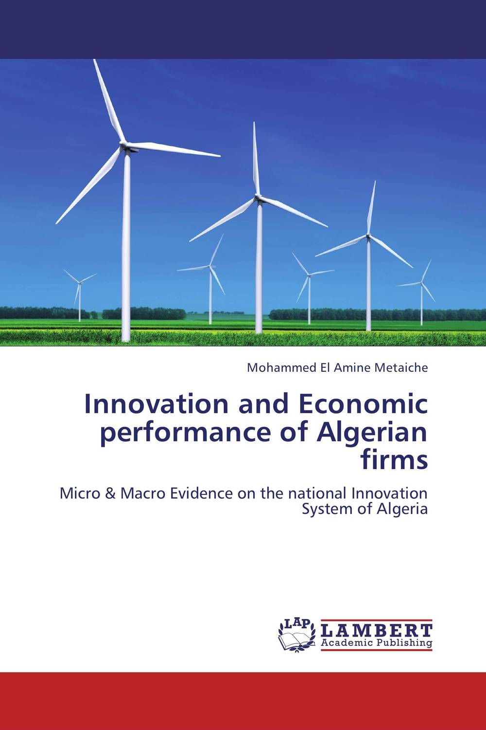 Innovation and Economic performance of Algerian firms