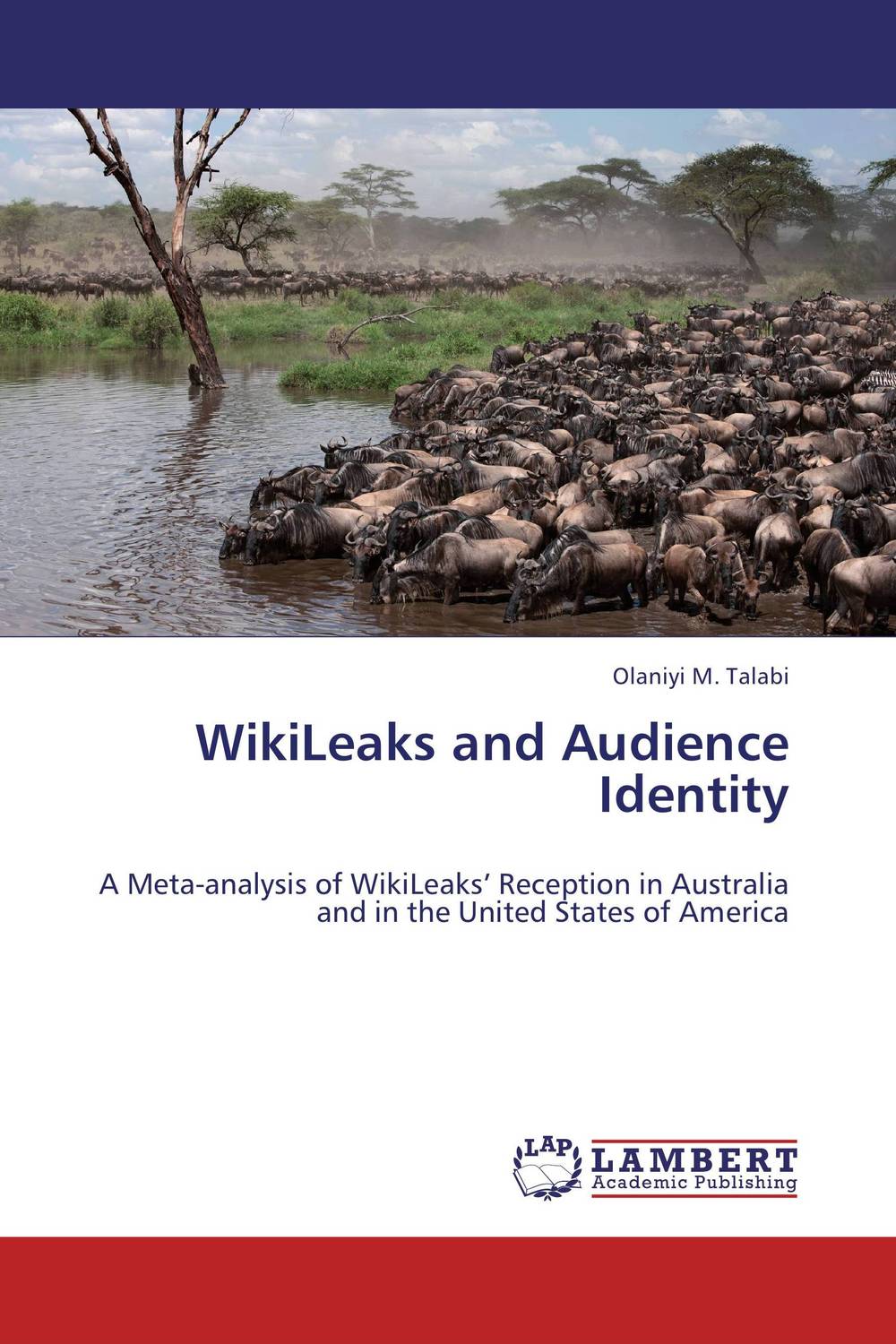 WikiLeaks and Audience Identity