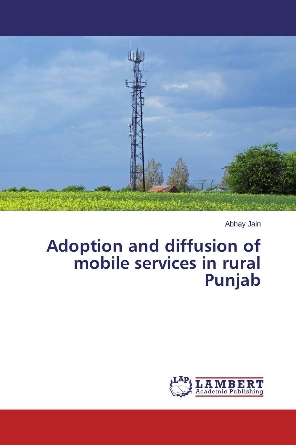 Adoption and diffusion of mobile services in rural Punjab