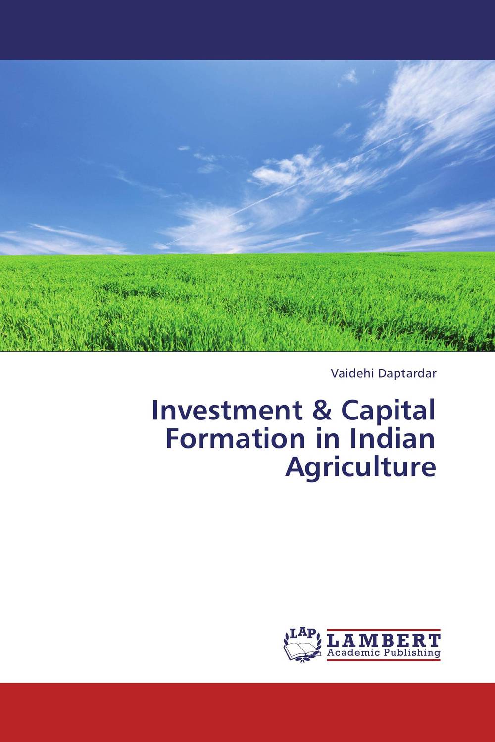 Investment & Capital Formation in Indian Agriculture ...