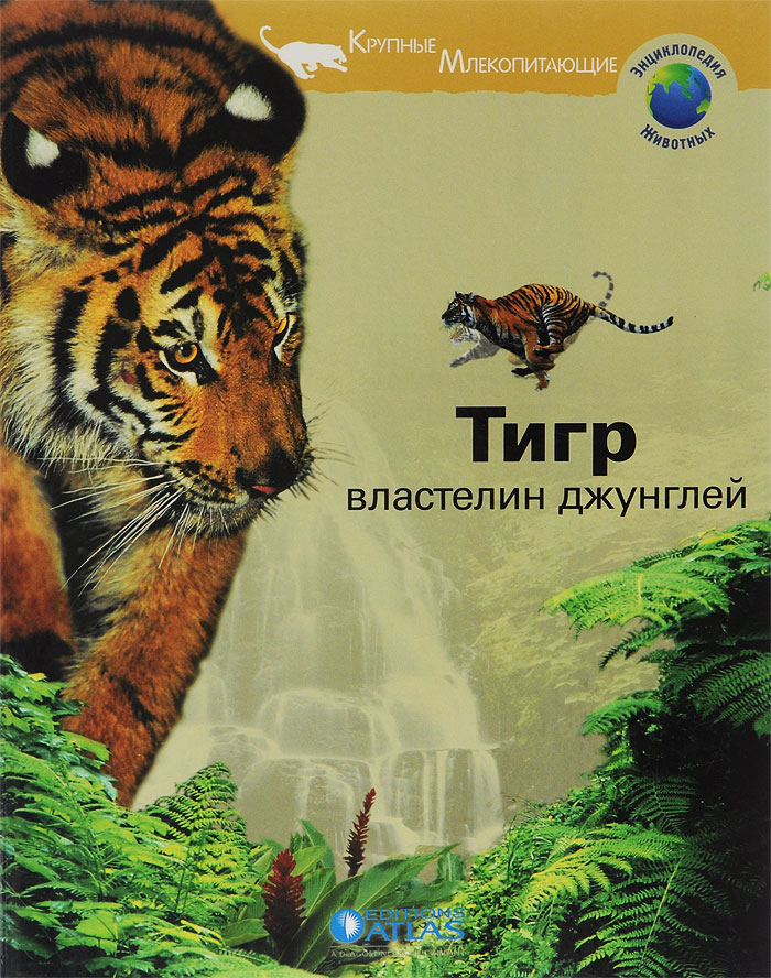 Тигр - властелин джунглей