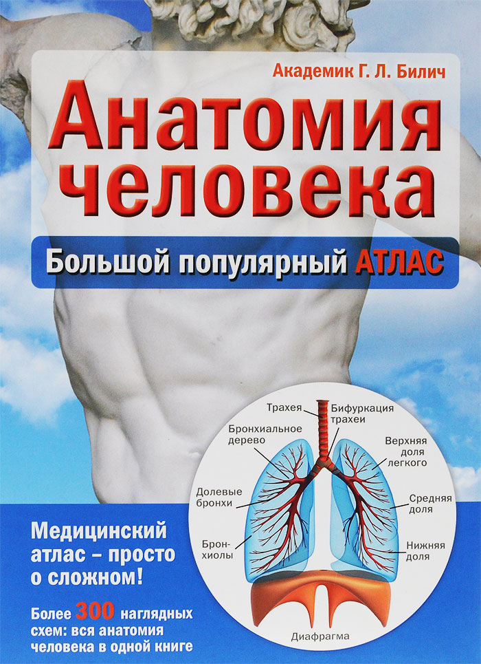 Анатомия человека. Большой популярный атлас