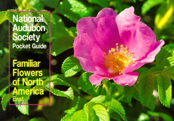 The Audubon Society Pocket Guides: Familiar Flowers of North America