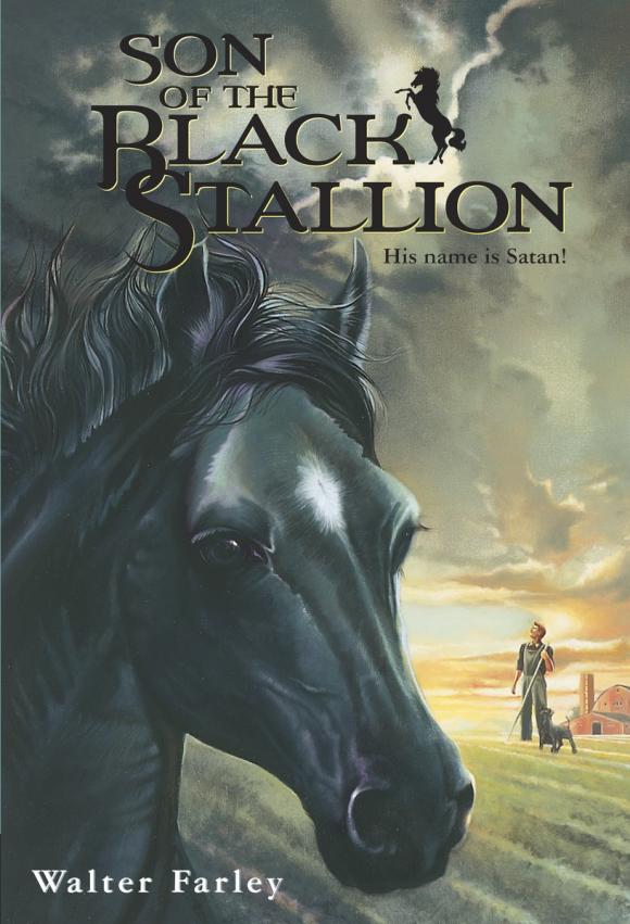Обложка книги Son of the Black Stallion Обложка книги Son of the Black Stallion