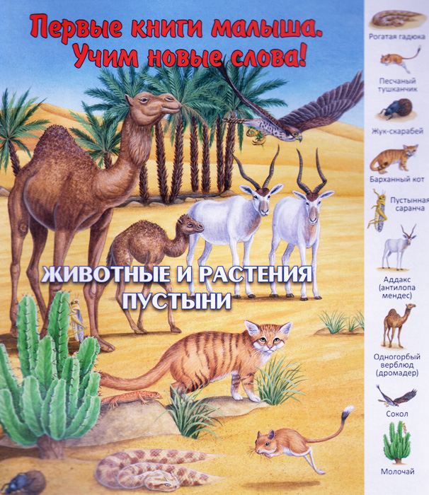 Животные и растения пустыни Уцененный товар (№ 1)