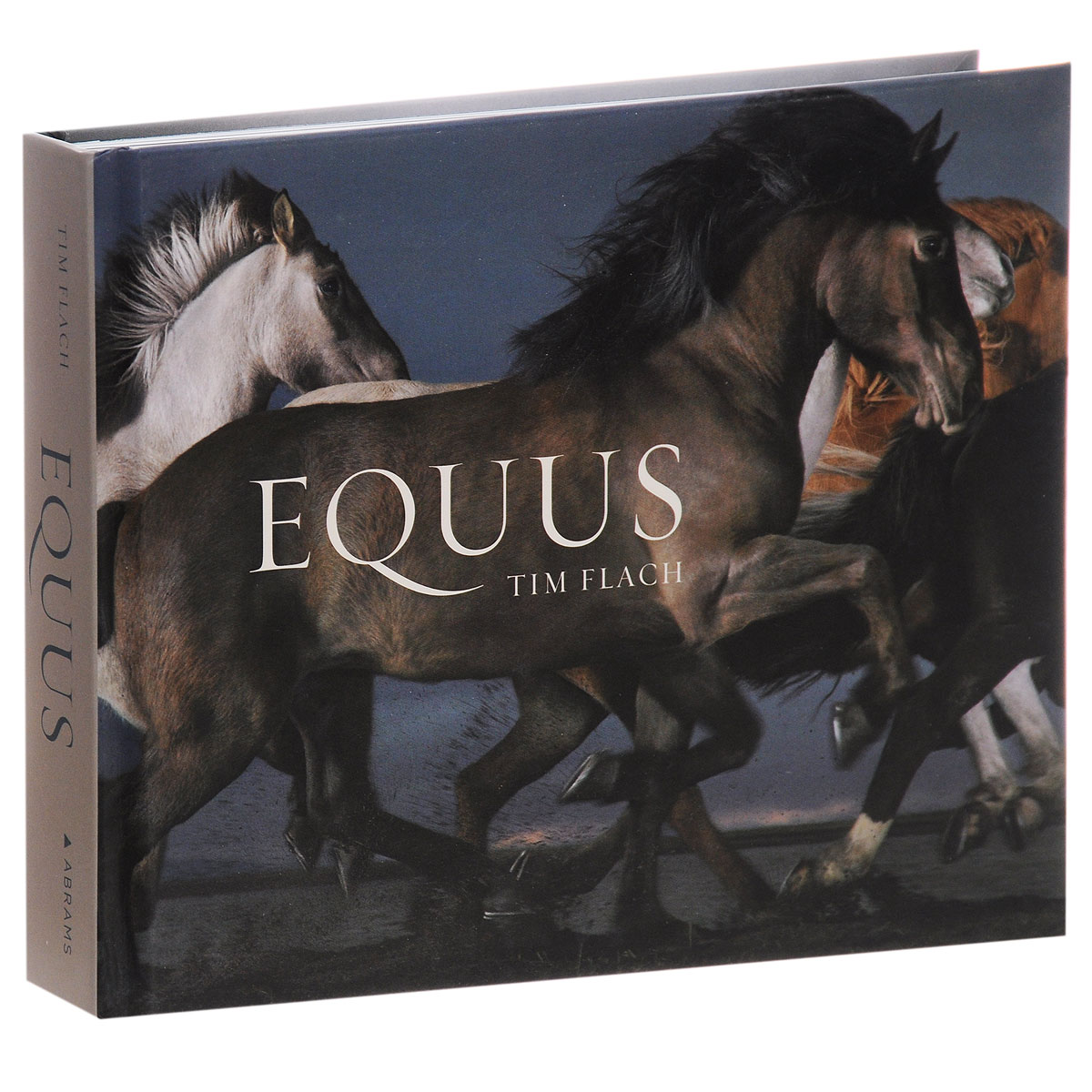 Equus