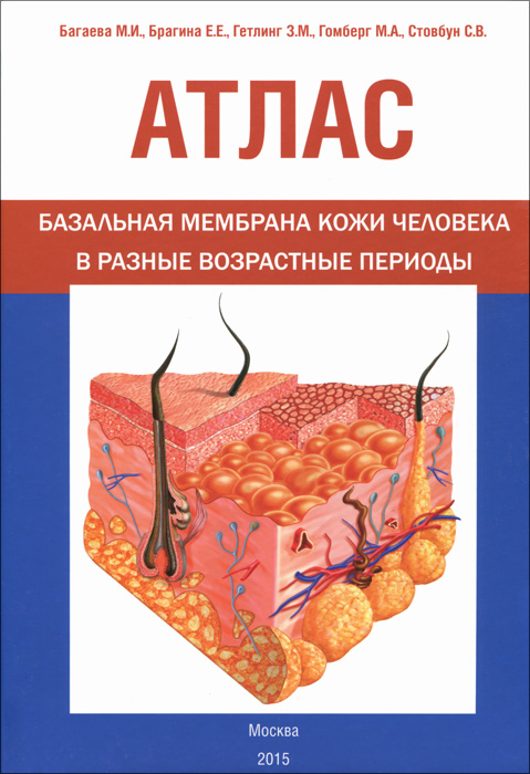 Атлас. Базальная мембрана кожи человека в разные возрастные периоды