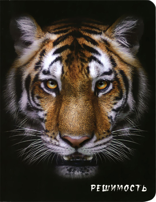 Блокнот настоящего хищника (Тигр)