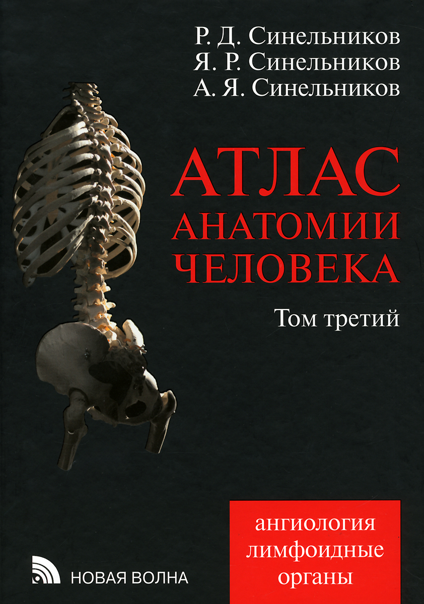Атлас анатомии человека. В 4 томах. Том 3. Учение о сосудах и лимфоидных органах. Учебное пособие