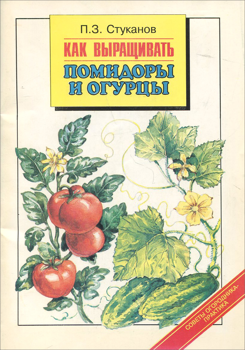 Как выращивать помидоры и огурцы