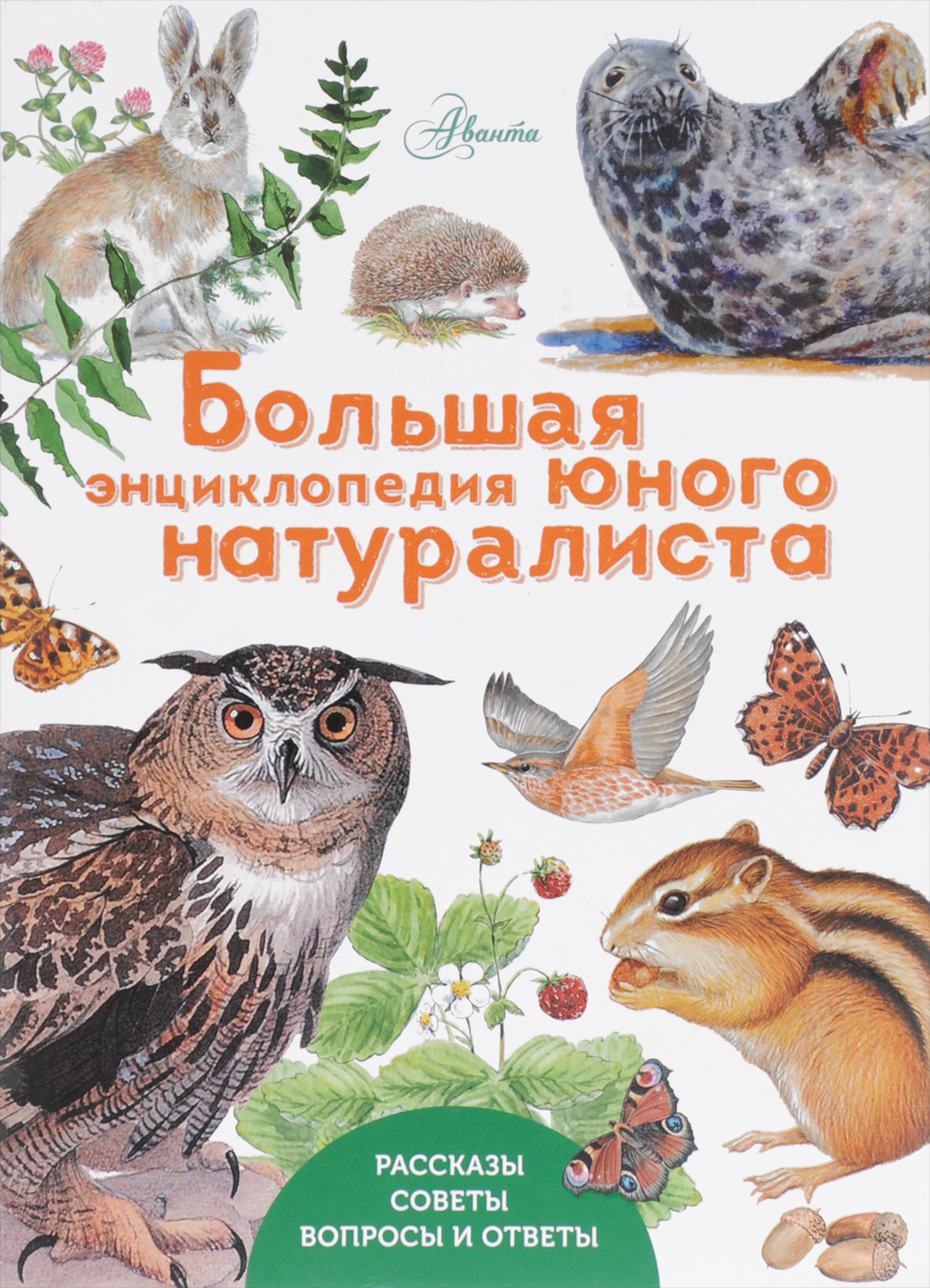 Большая энциклопедия юного натуралиста