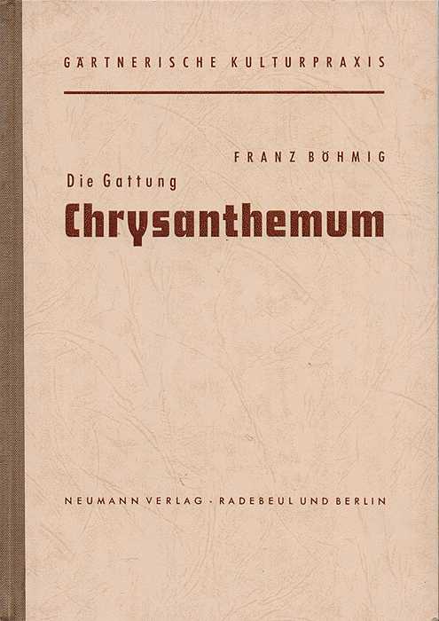 Die Gattung С hrysanthemum
