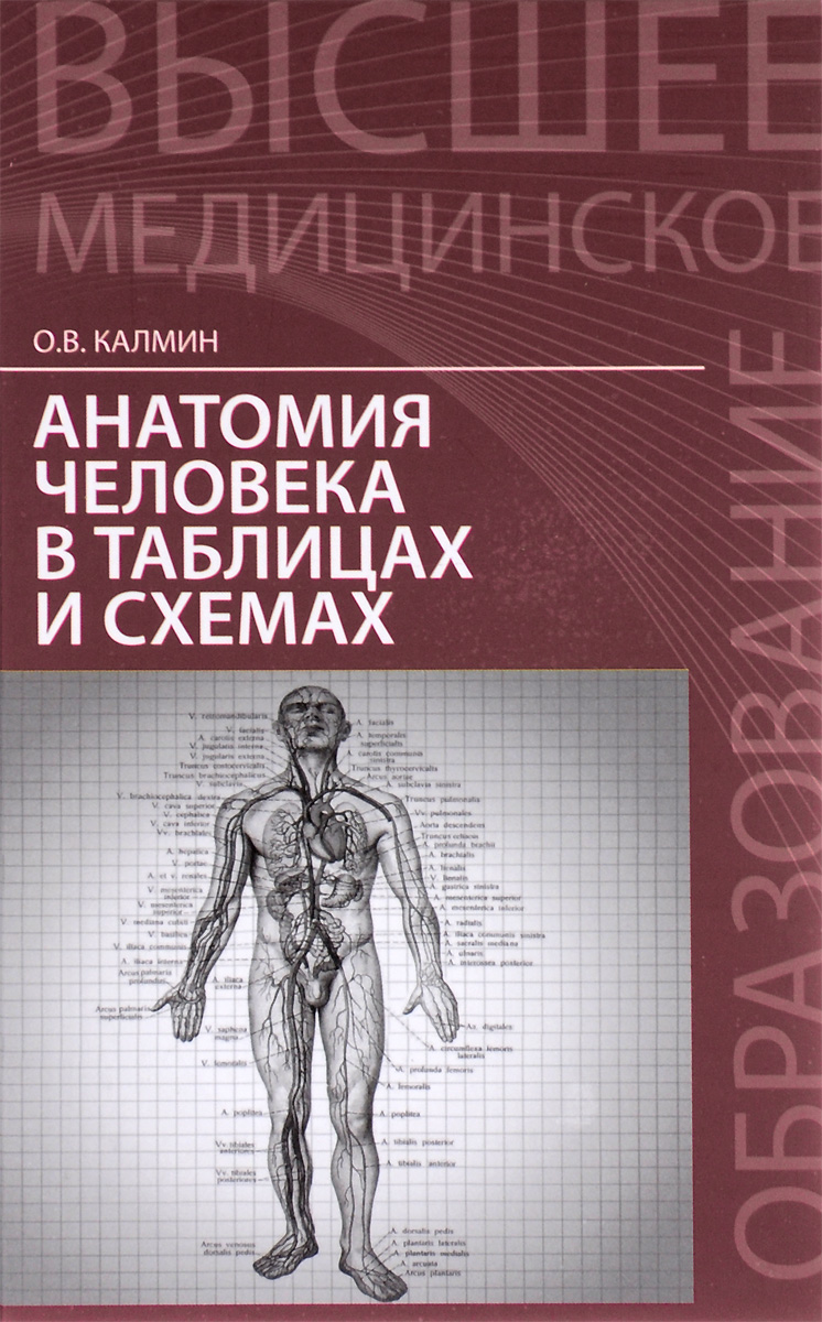 Анатомия человека в таблицах и схемах. Учебное пособие