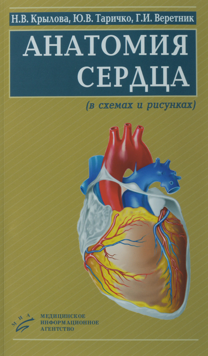 Анатомия сердца. В схемах и рисунках. Учебное пособие