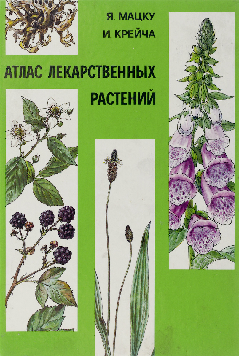 Атлас лекарственных растений