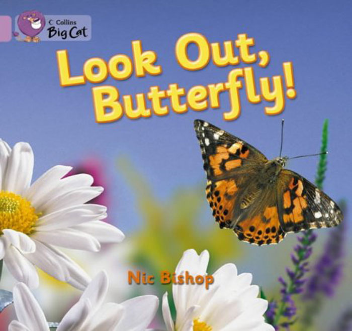 Look Out, Butterfly!