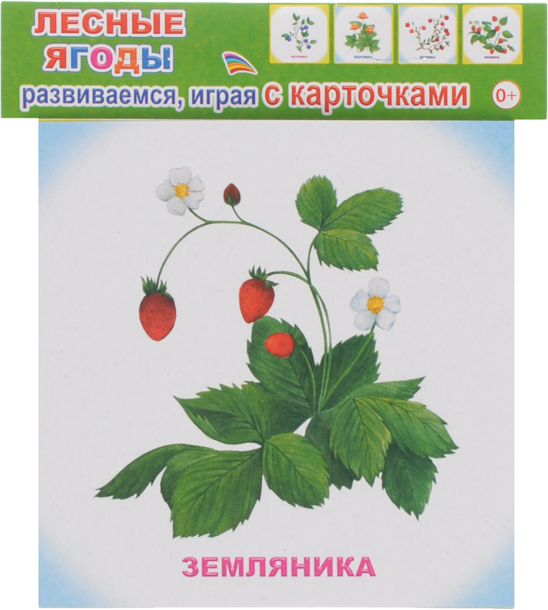 Лесные ягоды (набор из 12 карточек)