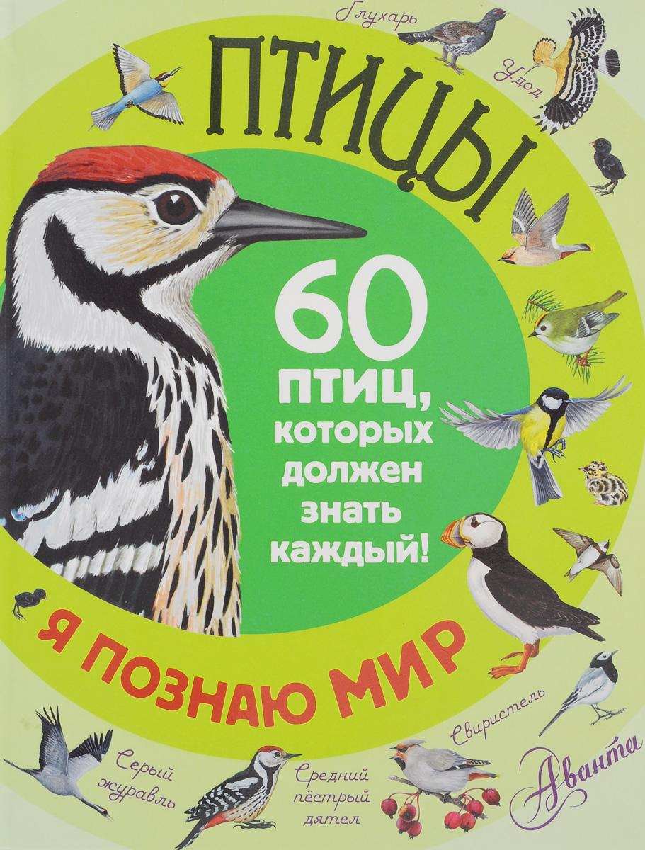 Птицы. 60 птиц, которых должен знать каждый