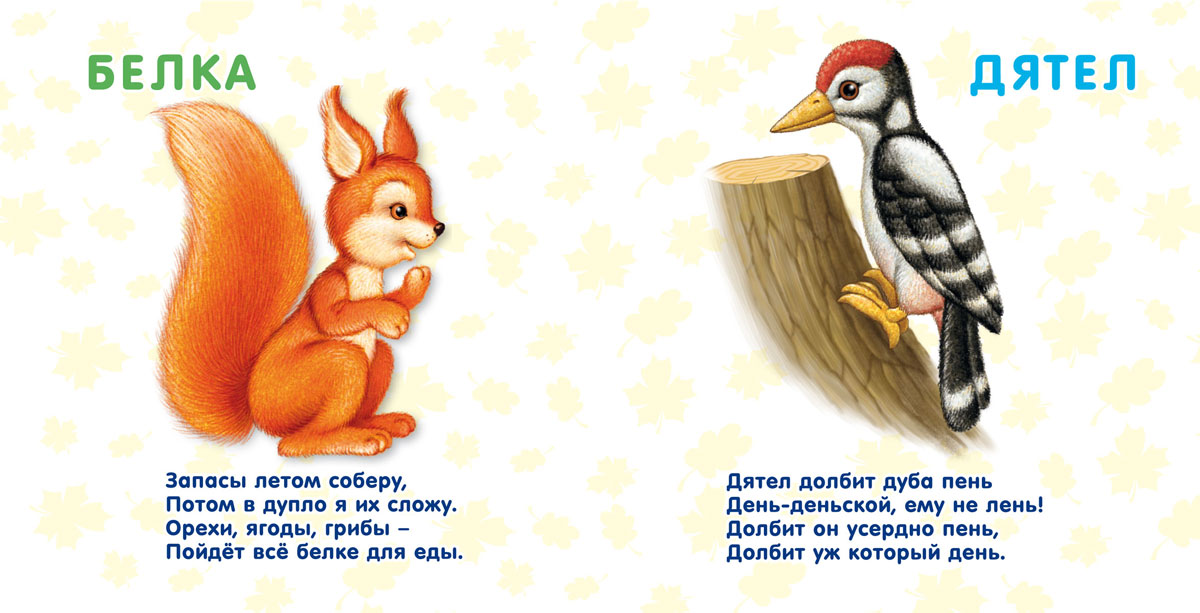 Стих про лесного животного Стих про лесного животного