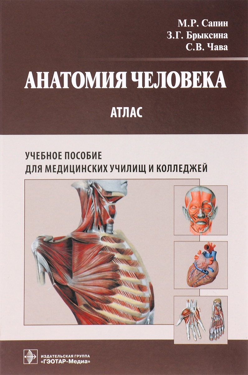 Анатомия человека. Атлас. Учебное пособие