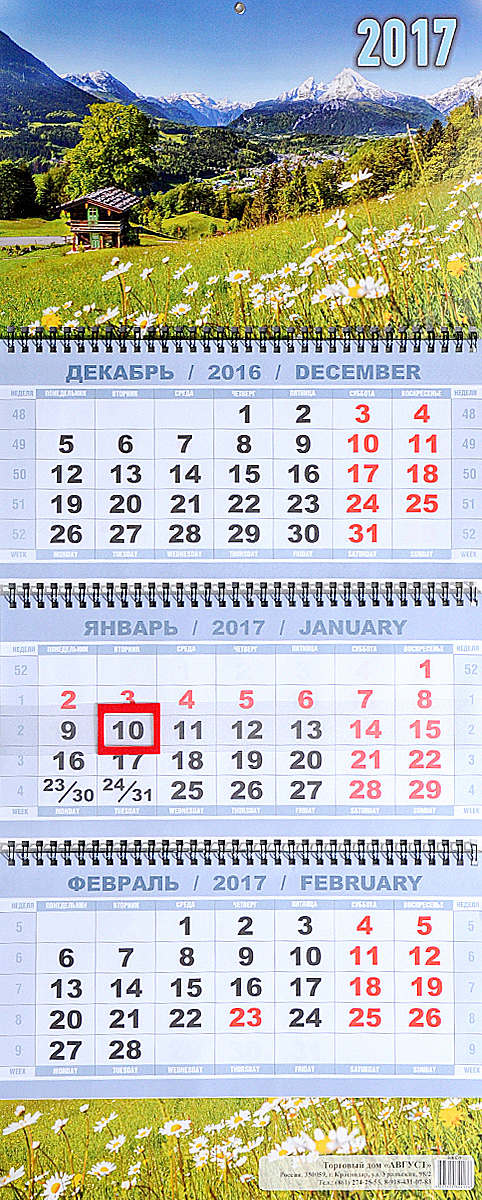 Календарь 2016-2017 (на спирали). Горы с ромашками