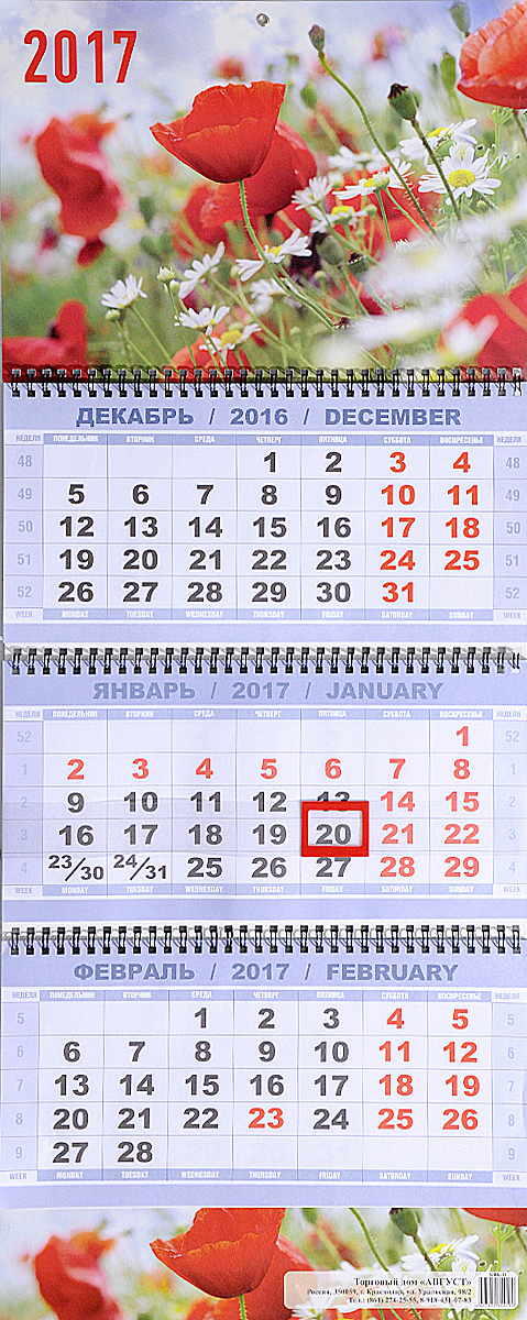 Календарь 2017 (на спирали). Маки с ромашками