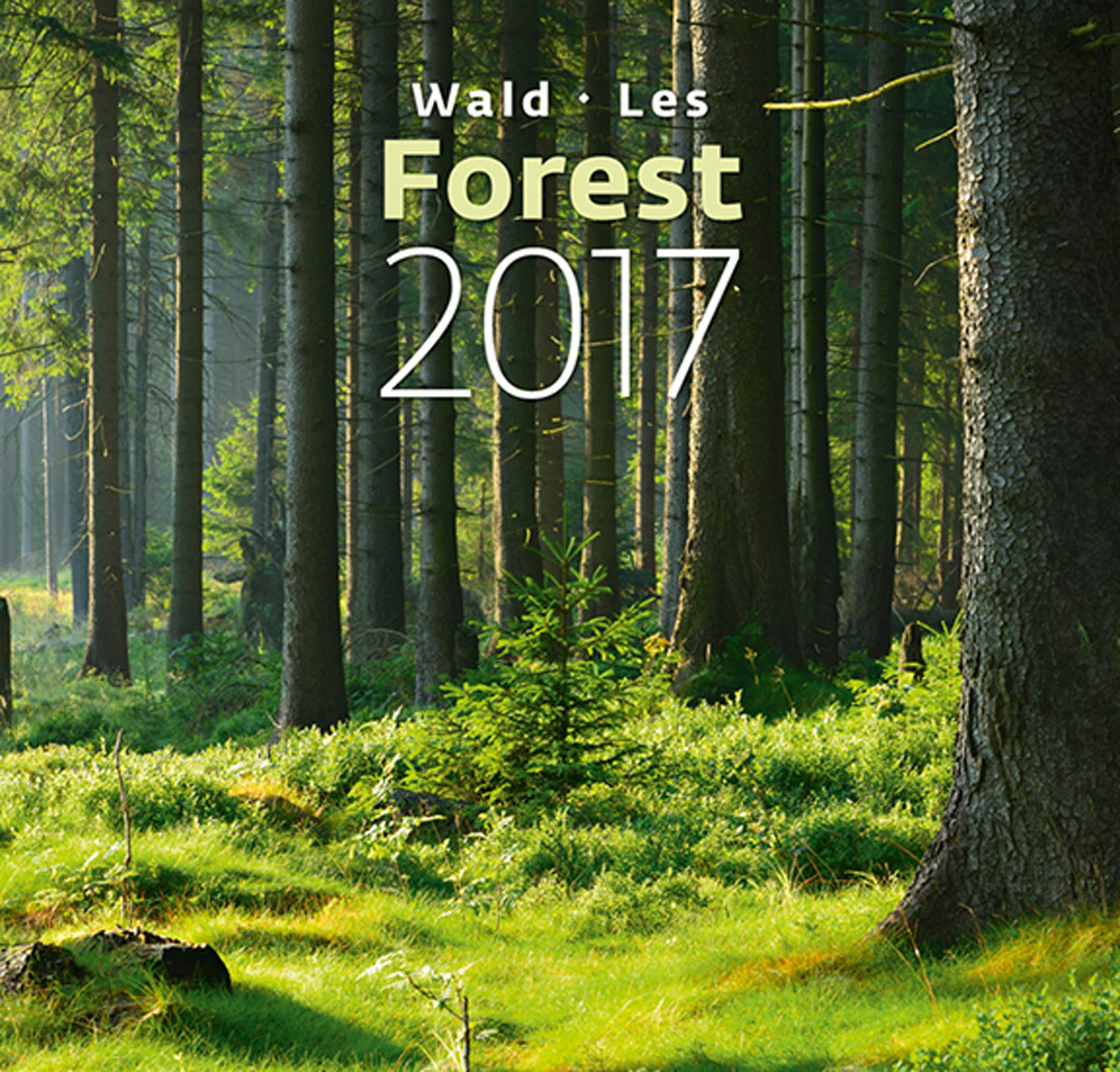 Календарь настенный на 2017 год (на спирали). Forest (Лес)